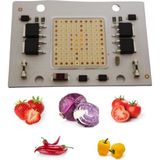 Dora Led 220 Volt 50 Watt Full Spectrum Cob LED Grow LED (Bitki Ledi)