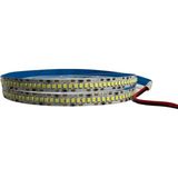 Dora Led 240 Ledli Sık Ledli 10mm 12V Gün Işığı Şerit Led IP20 (5Metre)