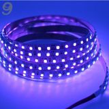 Dora Led Uv Şerit LED 12V 120 Ledli 2835 Ledli Silikonlu Black Light (1metre) - 1 m - Mor