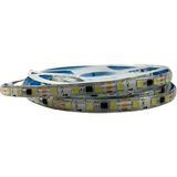 Dora Led WS2811 Beyaz Pixel Şerit LED 12VOLT İP65 Dış Mekan 5m