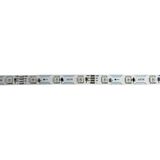 DORA LED WS2815B 60 Ledli ARGB S type 12V Tek Tek Adreslenebilir Pixel Şerit Led Magic Led 1M