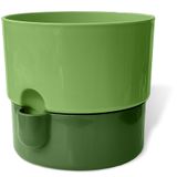 Dora Saksı Tabaklı Çiçek Kaktüs Saksısı Parlak Plastik Saksı (Yeşil, 2 Litre)