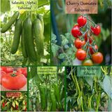 Dora Shopping 6 Paket Tohum No1 Cherry Çeri Domates Tohumu Salatalık Tohumu Biber Tohumları Sebze Tohumları - Standart