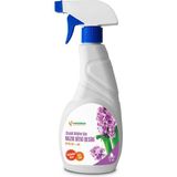 Dora Shopping Agrobigen Çiçekli Bitkiler Için Bitki Besini (Sprey Sıvı-1 Adet) - Standart
