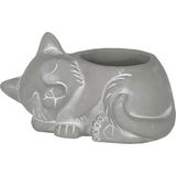 Dora Shopping Classic Garden Çimento Uyuyan Kedi Saksısı, Drenaj Delikli, Doğal Gri, 17.8 cm - Standart