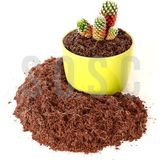 Dora Shopping Hindistan Cevizi TORFU%100 Doğal Torf - Cocopeat Hindistan Cevizi Lifi - Doğal Bitki Toprağı 3 Lt - Standart