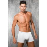 Doreanse 1717 Koton Streç Boxer