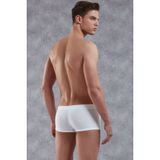 Doreanse 1760 Gri Erkek Boxer