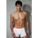 Doreanse 1767 Erkek Modal Torbalı Normal Paça Boxer