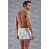 Doreanse 1770 Adonis Boxer