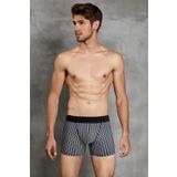Doreanse 1866 Erkek Modal Çizgi Desenli Normal Paça Boxer