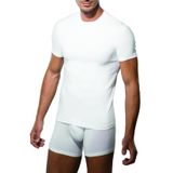 Doreanse 2550 Bordo Erkek T-Shirt