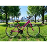 DORELLO 26 Jant Bisiklet, Shimano 21 Vites, Çelik Gövde (Pembe)