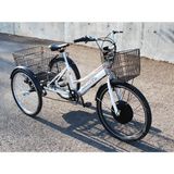 Dorello Elektrikli Bisiklet Cargo Bisiklet -Pazar Bisikleti Yük Taşıma Bisikleti - Beyaz