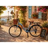 Dorello Retro Alanya Bisiklet Mavi 24 Jant - Su Yeşili