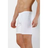 Doremi Erkek Arjantin Boxer