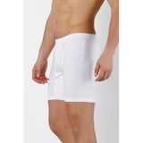 Doremi Erkek Arjantin Boxer