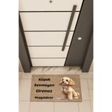 Dormot Home Kaliteli Dijital Baskı Kahverengi, Köpek Sevmeyen Giremezz temalı Kapı Önü Paspası