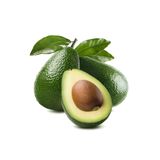 Doruk Fidancılık Avokado Fidanı Füerte, 60-70 Cm, Tüplü