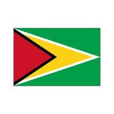 DORUK Guyana Gönder Bayrağı 70 x 105
