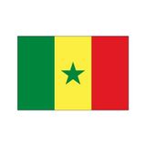 Doruk Senegal Gönder Bayrağı 50 x 75 cm