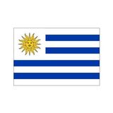 DORUK Uruguay Gönder Bayrağı 70 x 105