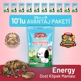 Dost Köpek Maması - 10 Adet
