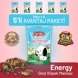 Dost Köpek Maması - 5 Adet