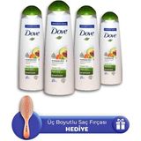 Dove 4x400 ml Avokado Özü Şampuan ve Saç Fırçası Hediye
