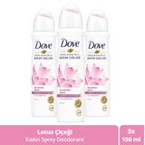 Dove Lotus Çiçeği Kadın Sprey Deodorant 150 ml x 3 Adet
