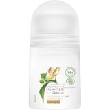 Dove Pouvoir Des Plantes Roll-On Deodorant 50 Ml
