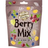 Dovido Berry Mix Karışık Kuru Meyve 100 gr Doğal Vitamin Deposundan Sağlıklı Atıştırmalık