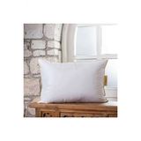 Downa Nomite Anti Alerjik Yastik Alezi 50X70 Cm (İkili)