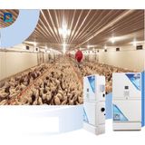 Dozon Endüstriyel Ozon Jeneratörü 80G/H DO80 Modeli Hava Temizleme Ve Dezenfekte Etkisi - Beyaz