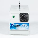 DOZON OTEL VE DEPOLAR İÇİN 10G/H TAŞINABİLİR OZON JENERATÖRÜ