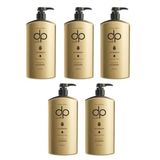 DP Daily Perfection 5x500 ml Çam Terebentin Tuzsuz Şampuan
