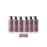 Dp Daily Perfection 6x500 ml Karanfil Özlü Tuzsuz Şampuan
