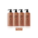 Dp Daily Perfection Çörek Otu 4x800 ml Şampuan