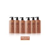 DP Daily Perfection Çörek Otu Yağı 6x800 ml Şampuan