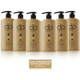 Dp Daily Perfection Daily Perfection Şampuan Çam Terebentin 6x500 Ml