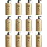 DP Daily Perfection Tuzsuz Çam Terebentin 12x500 ml Şampuan