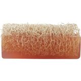 Dr. Dermalok Kabak Lifli Katran Sabunu(Peeling Etkili)