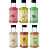 Dr. Gusto 6’lı Kokteyl Şurubu Seti 300 cc (Nane, Muz, Akça Ağaç, Mojito, Hibiskus, Beyaz Çikolata) - 1,8 lt