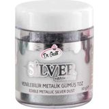 Dr. Gusto Yenilebilir Metalik Toz Gümüş Gıda Boyası 10 gr