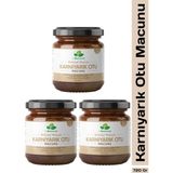 Dr. Natural 3 Adet Karnıyarık Otu Macunu Bitki Karışımlı Macun (Psyllium Husk Powder) 240 gr - 720 gr