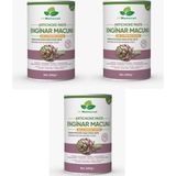 Dr. Natural 3 Kutu Enginar Macunu Bal ve Pekmez Katkılı Bitkisel Karışımlı Macun 240 Gr.
