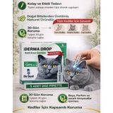 Dr. Sed Derma Kedi Dış Parazit Damla