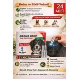 Dr. Sed Maxi Derma 21-40KG Köpek Dış Parazit Damlası 24 Kutu