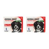 Dr.Sed Pharma Derma 21-40 kg 2 Kutu Köpek Dış Parazit Damlası
