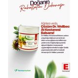 Dr. Wellbec At Kestanesi Jel Krem 500 ml